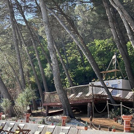 فندق Le Castel De Fies Solliès-Pont المظهر الخارجي الصورة