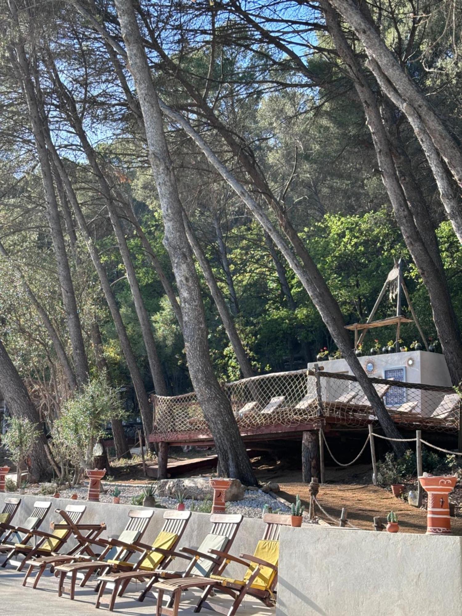 فندق Le Castel De Fies Solliès-Pont المظهر الخارجي الصورة